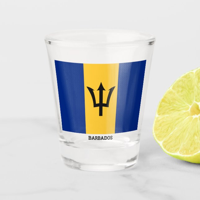 Flag of Barbados Shot Glass (Front)