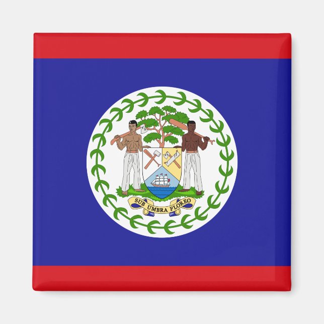 Flag of Belize Magnet (Front)