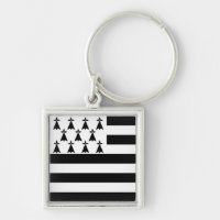 Flag of Brittany, France
