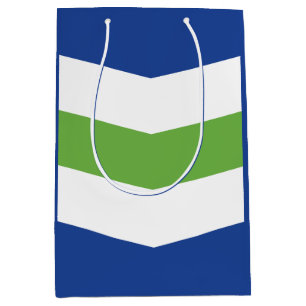 Flag of Burlington, Vermont Medium Gift Bag