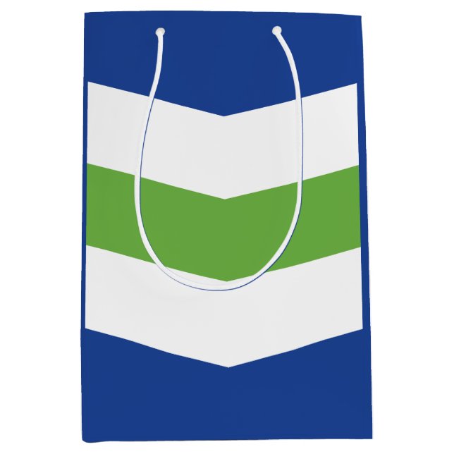 Flag of Burlington, Vermont Medium Gift Bag (Front)