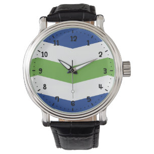 Flag of Burlington, Vermont Watch
