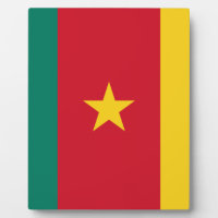 Flag of Cameroon