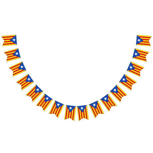 Flag of Catalonia (All)