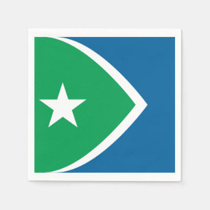 Flag of Cedar Rapids, Iowa Napkin