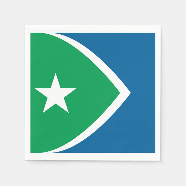 Flag of Cedar Rapids, Iowa Napkin (Front)