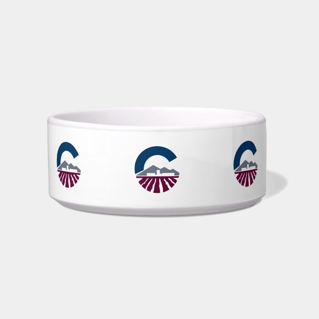 Flag of Chandler, Arizona Bowl (Front)