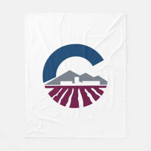Flag of Chandler, Arizona Fleece Blanket