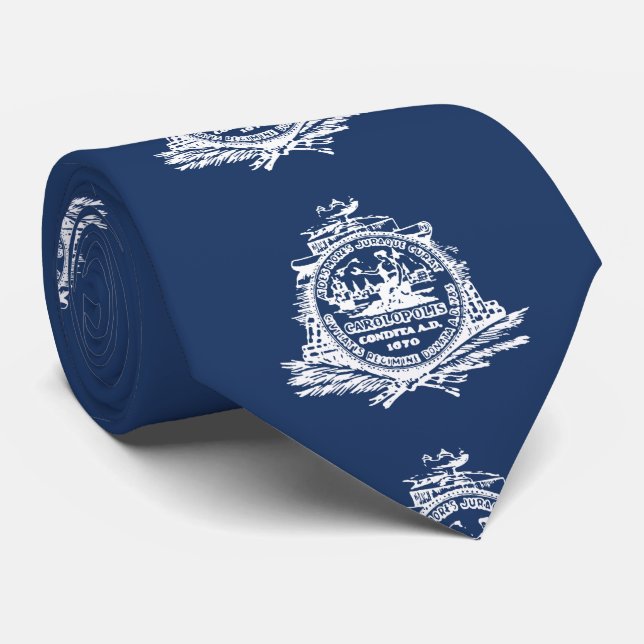 Flag of Charleston, South Carolina Tie (Rolled)