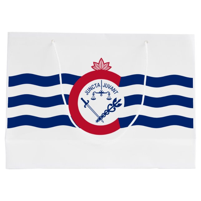 Flag of Cincinnati (Ohio) Large Gift Bag (Back)