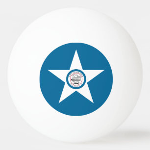 Flag of city of Houston, Texas Ping Pong Ball