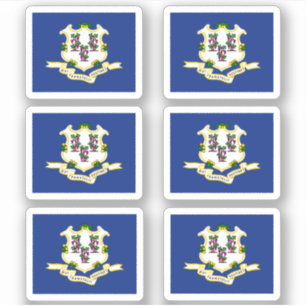 Flag of Connecticut American state flag