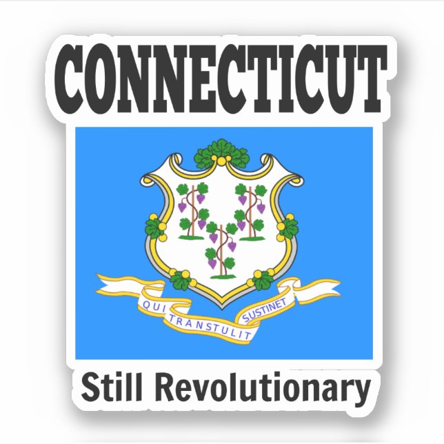 Flag of Connecticut, United States (Front)