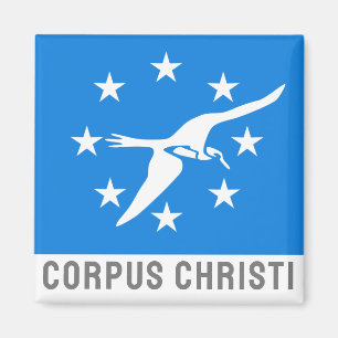 Flag of Corpus Christi, Texas Magnet