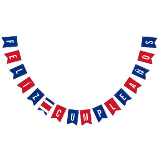 Flag of Costa Rica Birthday Party Decorations
