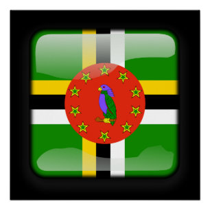 Flag of Dominican Republic Poster