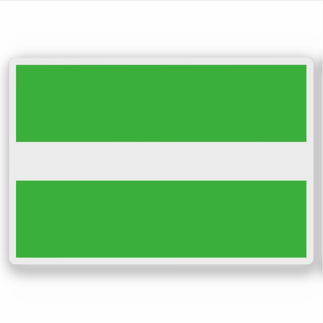Flag of Dvůr Králové nad Labem, Czech Republic (Front)