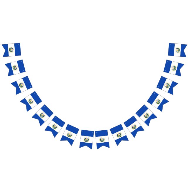 Flag of El Salvador (All)