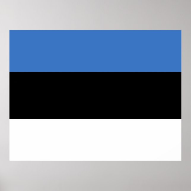 Flag of Estonia Poster (Front)