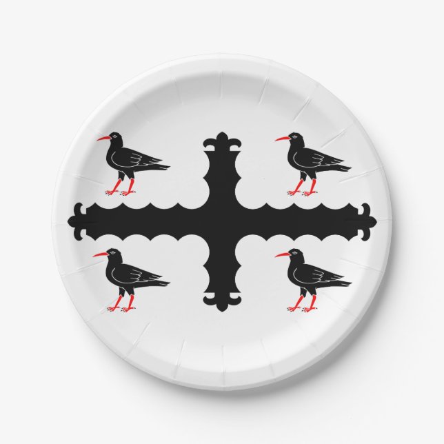 Flag of Flintshire Paper Plates (Front)