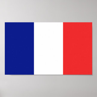 Flag of France Poster