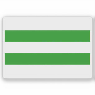 Flag of Hasselt, Belgium