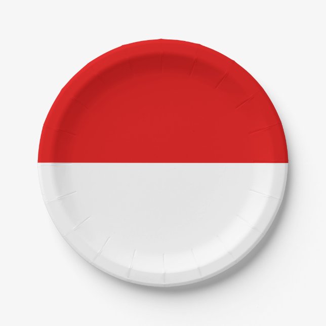 Flag of Hesse Paper Plates (Front)
