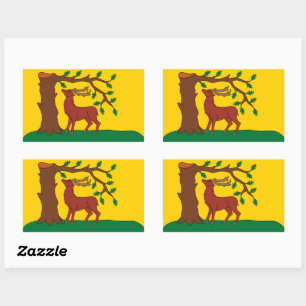 Flag of historic county of Berkshire Rectangular S Sticker