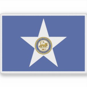 Flag of Houston, Texas, USA