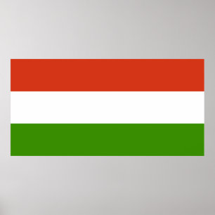 Flag of Hungary Poster