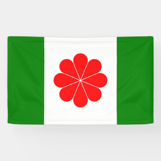 Flag of Independant Taiwan – 臺灣獨立運動 – 台灣獨立運動 Banner (Horizontal)