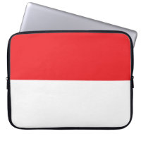 Flag of Indonesia