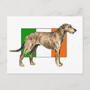 Flag of Ireland Irish wolfhound Gear Postcard