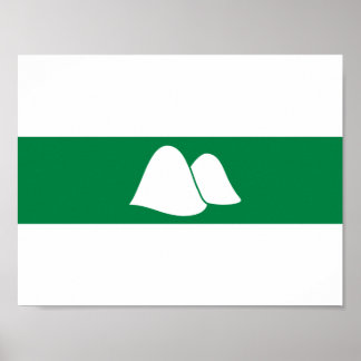 Flag of Kurgan oblast Poster