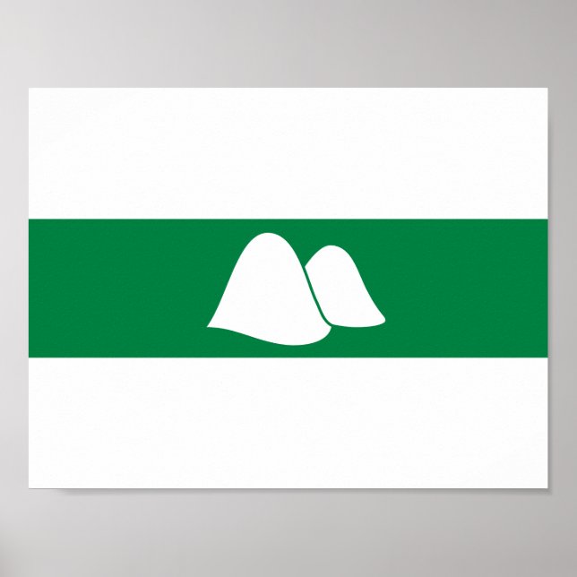 Flag of Kurgan oblast Poster (Front)