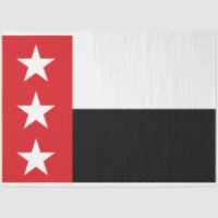 Flag of Laredo (Texas)