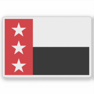 Flag of Laredo, Texas, USA
