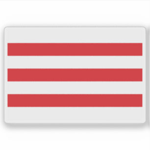 Flag of Lier, Belgium