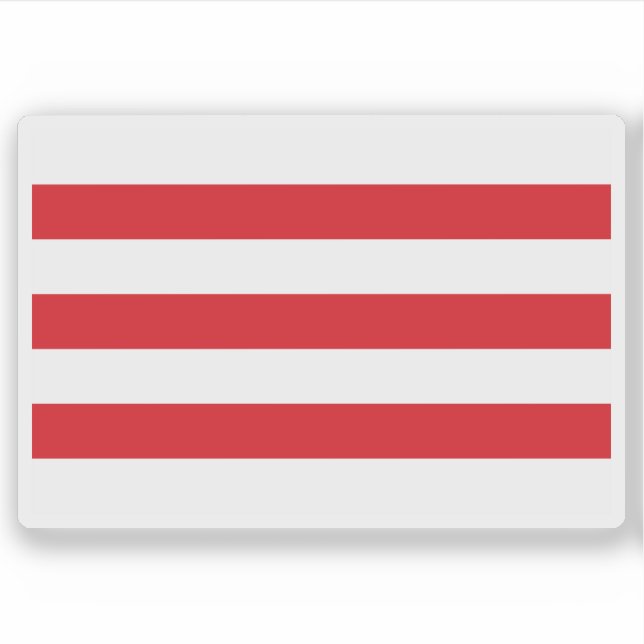 Flag of Lier, Belgium (Front)