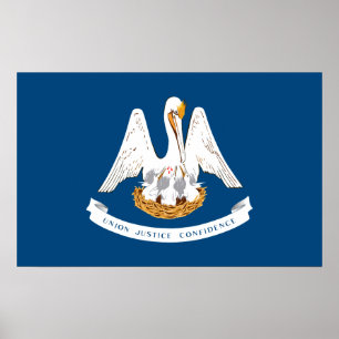 Flag of Louisiana Poster