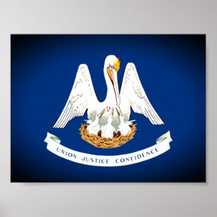 Flag of Louisiana Poster