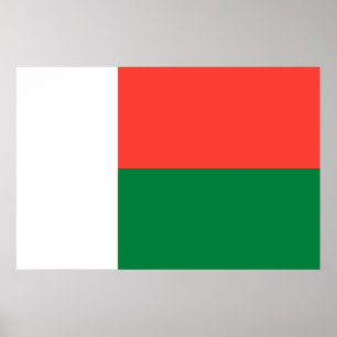 Flag of Madagascar Poster