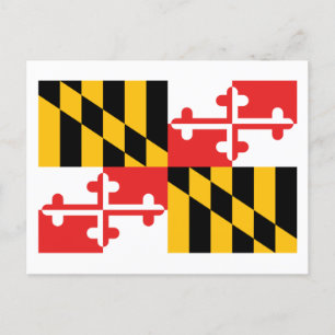 Flag of Maryland Postcard