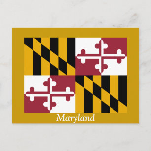 Flag of Maryland Postcard