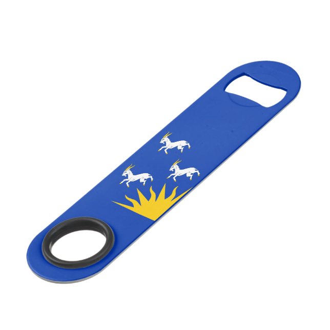Flag of Merionethshire Bar Key (Front Angled)