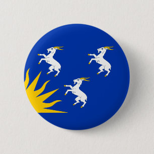 Flag of Merionethshire Button