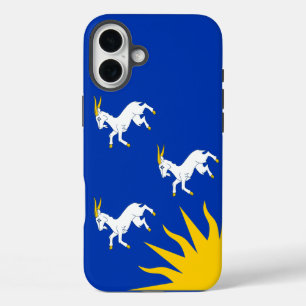 Flag of Merionethshire Case-Mate iPhone Case