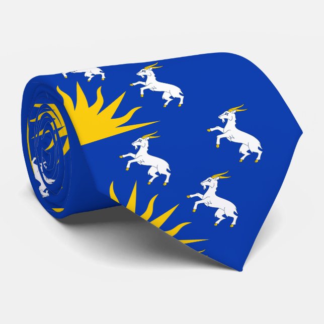 Flag of Merionethshire Neck Tie (Rolled)