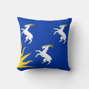 Flag of Merionethshire Throw Pillow