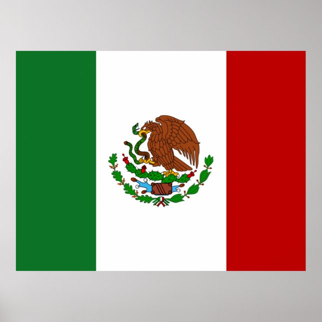 Flag of Mexico Poster (Front)